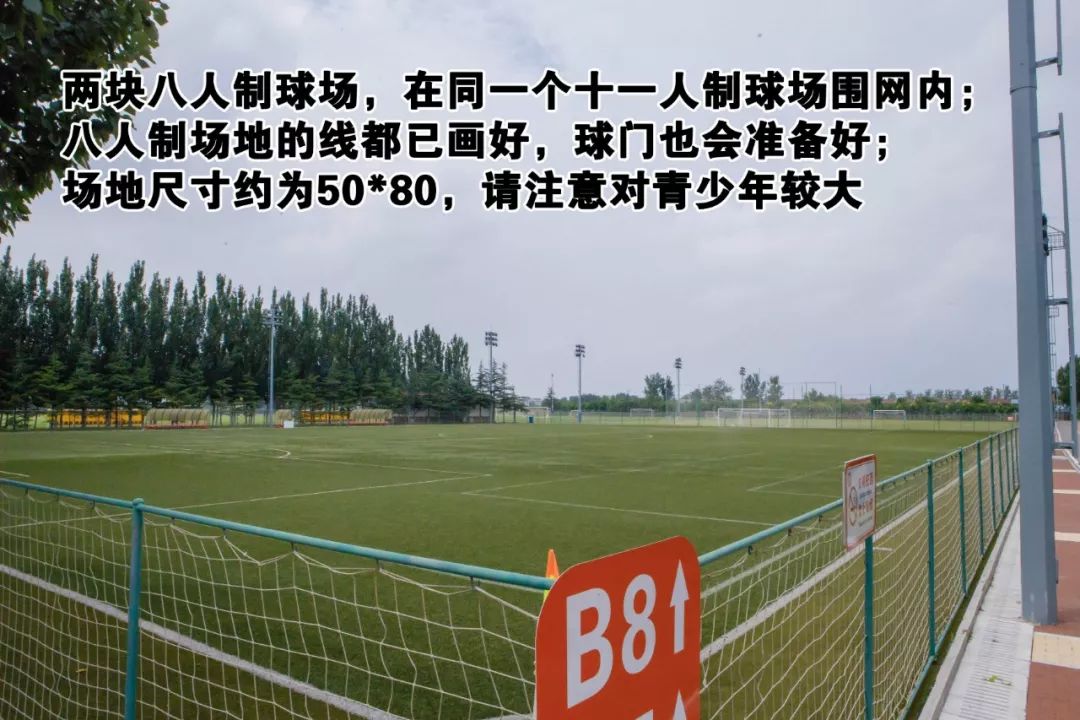 参加哈比杯的理由一个不够,我给你十个!