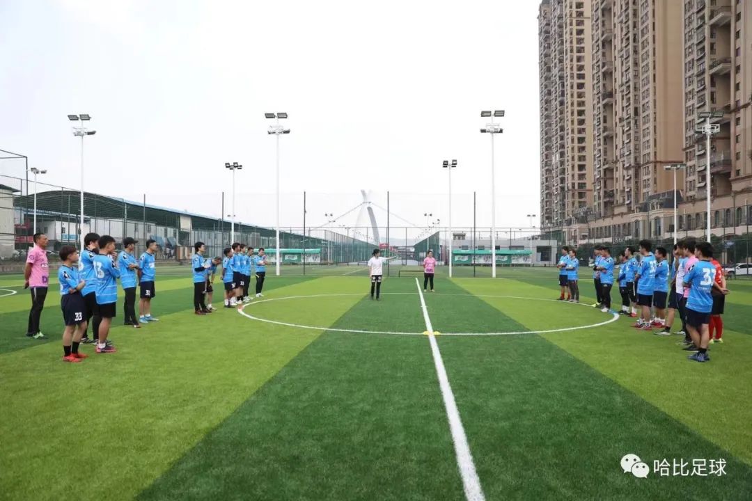 「停止学习就是停止执教」一个E级讲师十天的哈比闭关之旅