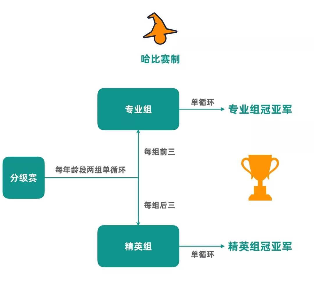 【相约鲁能足校】第二届肆海“哈比杯”青少年足球邀请赛 | 2019暑假，48支球队，一起哈比！