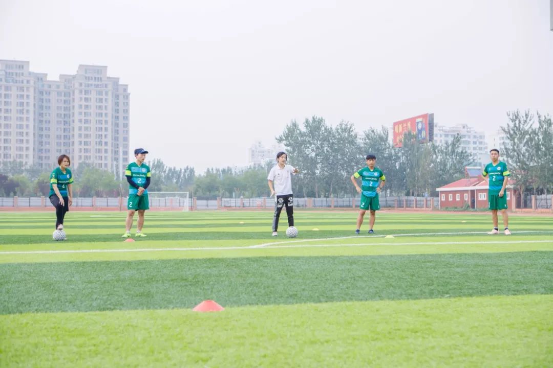 哈比系的训练,差别到底在哪?