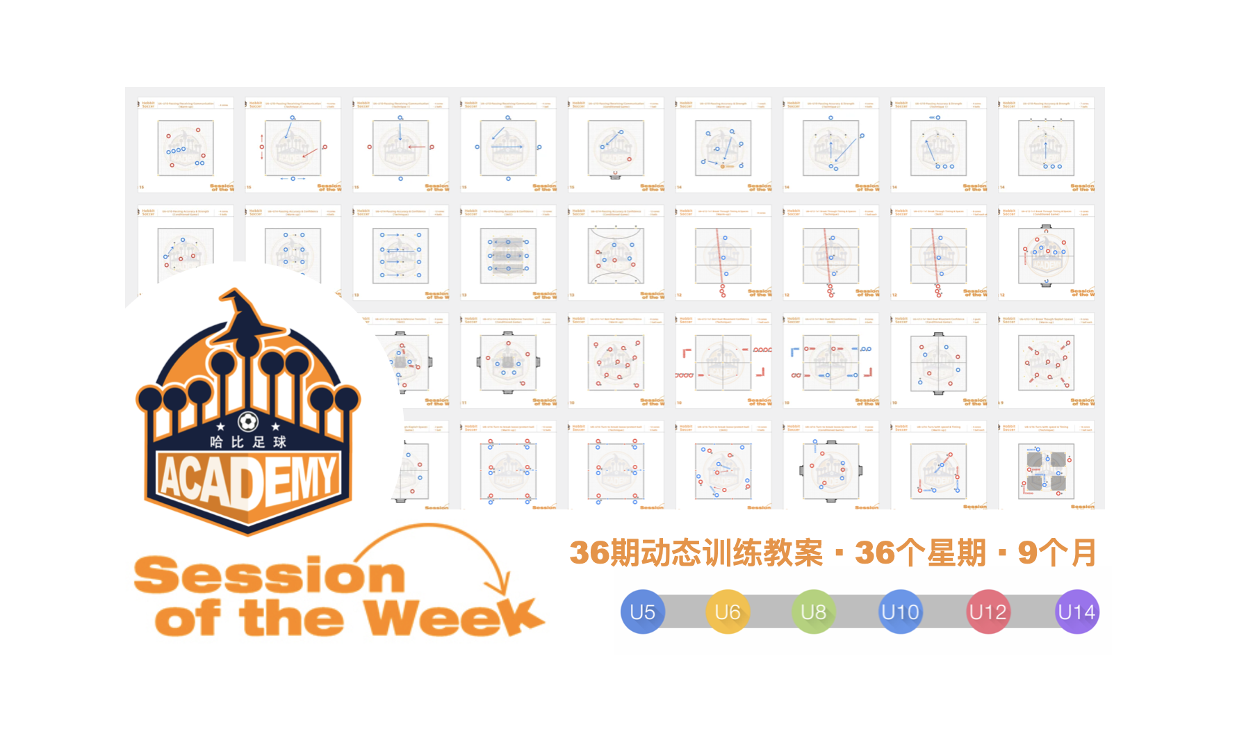 Session of the Week · 36周动态训练教案设计
