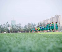 哈比系的训练,差别到底在哪?