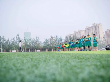 哈比系的训练,差别到底在哪?