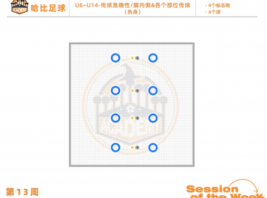 第13周：传球准确性 / 脚内侧 & 各个部位传球 · U6~U14