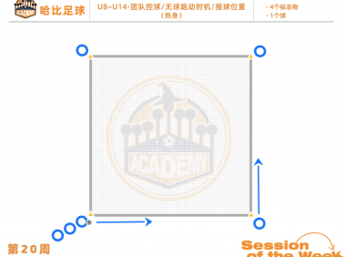 第20周：团队控球 / 无球跑动时机 / 接球位置 · U8~U14