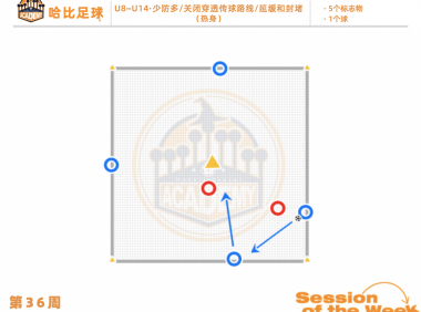 第36周：少防多 / 关闭穿透传球路线 / 延缓和封堵 · U8~U14