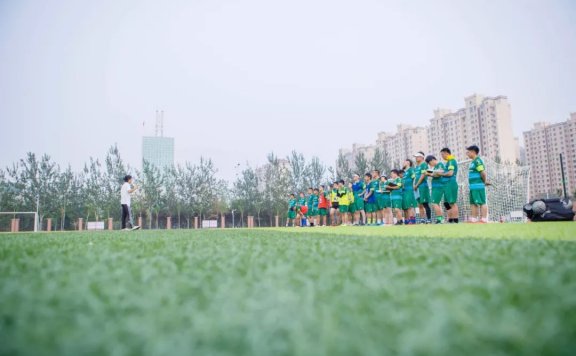 哈比系的训练,差别到底在哪?