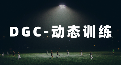DGC-动态训练