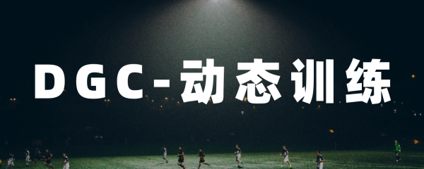 DGC-动态训练